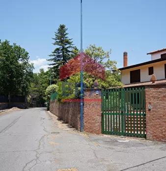 Foto annuncio 43