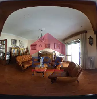 Foto annuncio 26