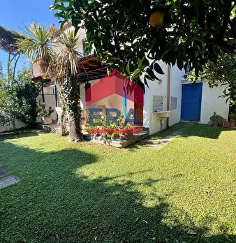 Foto annuncio 33