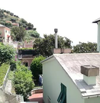 Foto annuncio 9