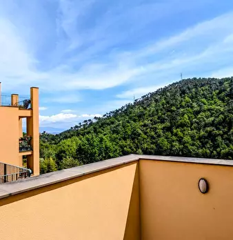 Foto annuncio 6