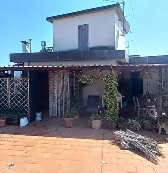 Foto annuncio 31