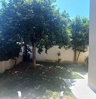 Foto annuncio 16