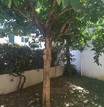 Foto annuncio 7