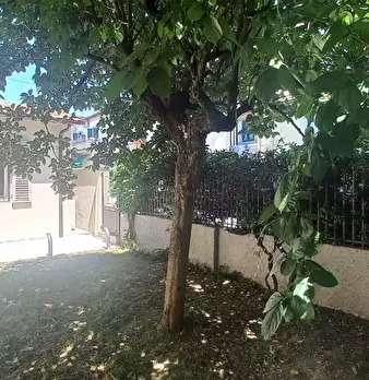 Foto annuncio 8