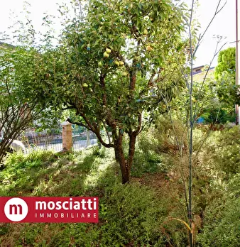 Foto annuncio 6
