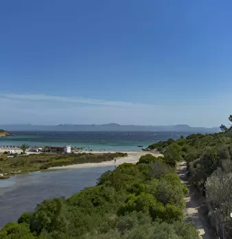 Foto annuncio 41