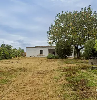 Foto annuncio 20