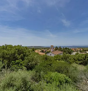 Foto annuncio 36