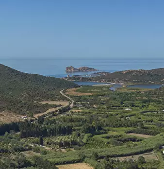 Foto annuncio 28