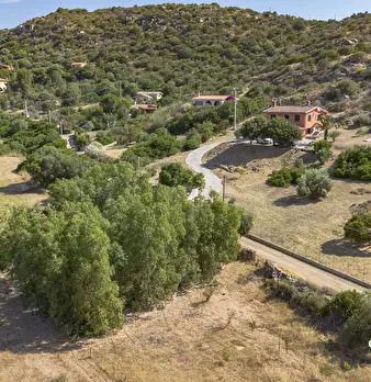 Foto annuncio 30