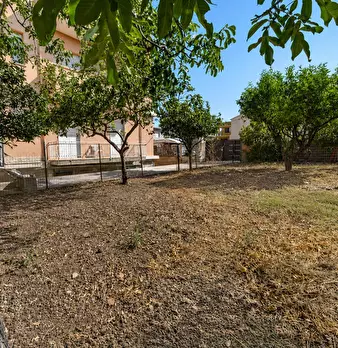 Foto annuncio 26