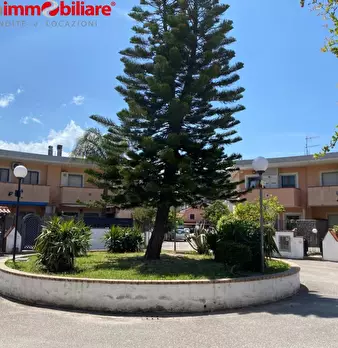 Foto annuncio 19