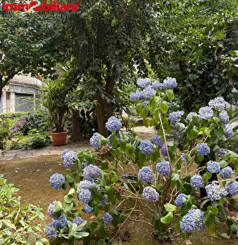 Foto annuncio 28
