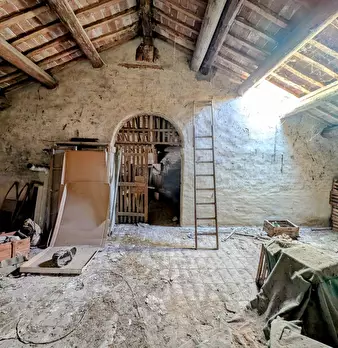Foto annuncio 25