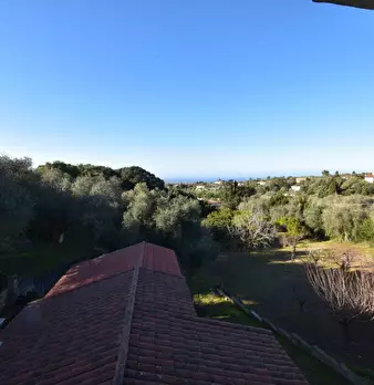 Foto annuncio 27