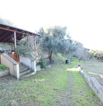 Foto annuncio 35