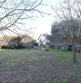 Foto annuncio 37