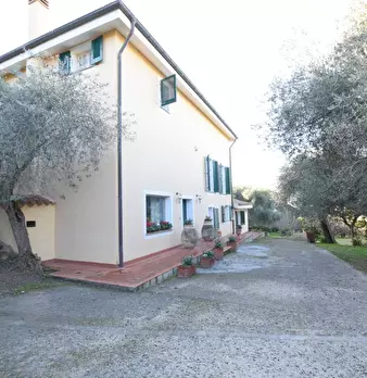 Foto annuncio 39