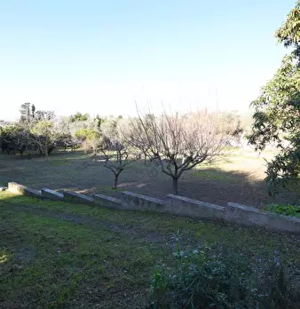 Foto annuncio 41
