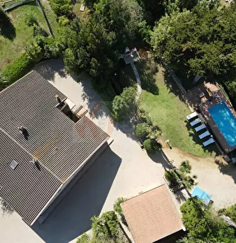 Foto annuncio 4