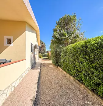 Foto annuncio 86