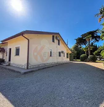 Foto annuncio 100