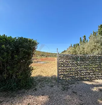Foto annuncio 117