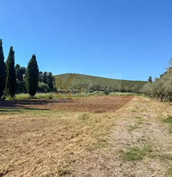 Foto annuncio 118