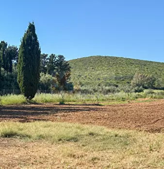 Foto annuncio 119