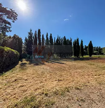Foto annuncio 120