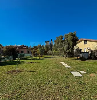 Foto annuncio 129
