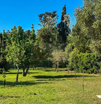 Foto annuncio 131