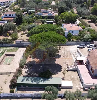 Foto annuncio 53