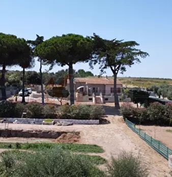 Foto annuncio 61
