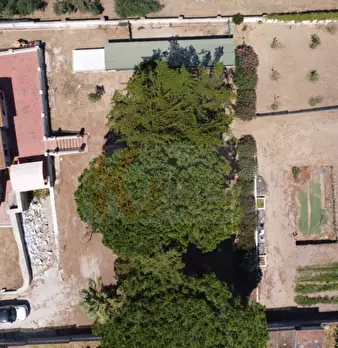 Foto annuncio 67