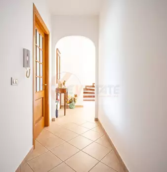 Foto annuncio 45