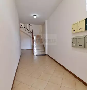 Foto annuncio 31