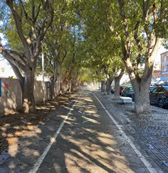 Foto annuncio 30