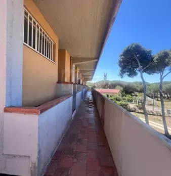 Foto annuncio 23
