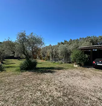Foto annuncio 93