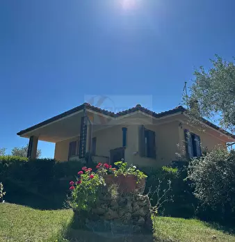 Foto annuncio 78