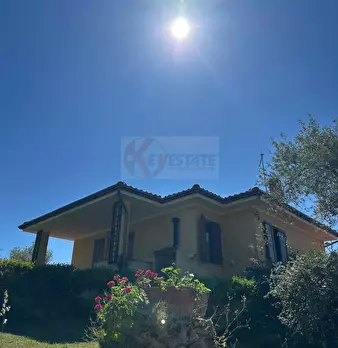 Foto annuncio 81