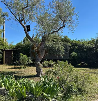 Foto annuncio 96