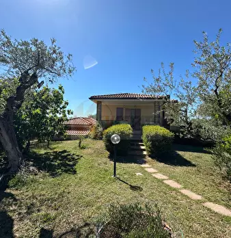 Foto annuncio 85