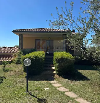 Foto annuncio 80