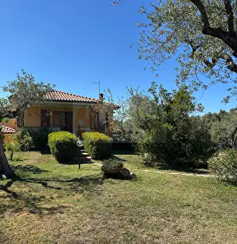 Foto annuncio 84
