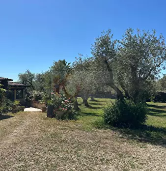 Foto annuncio 98