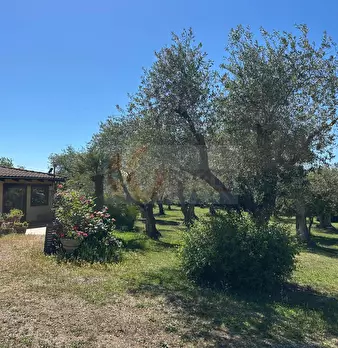 Foto annuncio 99