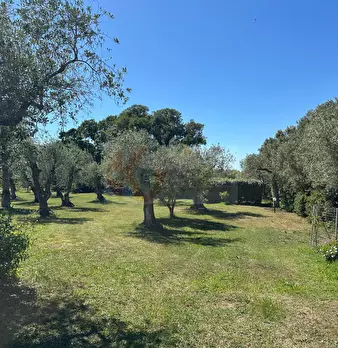 Foto annuncio 100